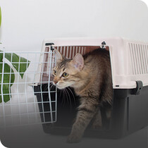 Cat Carriers