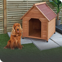 Dog Crates, Carriers & Travel Accessories