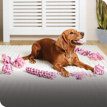 Dog Toys
