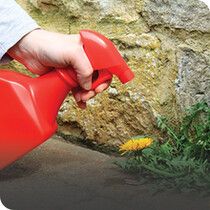 Weed Killer