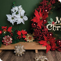 Poinsettia