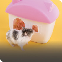 Small Pet Accessories