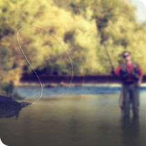 Fishing Lines