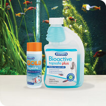 Aquarium Treatments & Fish Healthcare