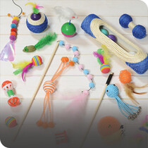 Cat Toys