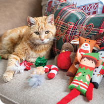Christmas Pet Toys