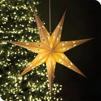 Indoor Christmas Lights