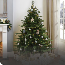 6ft Christmas Trees