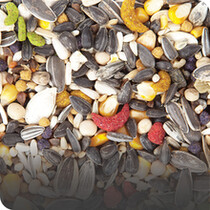 Wild Bird Food