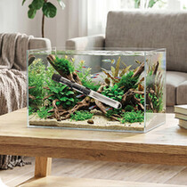 Aquarium Heaters