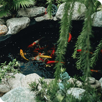 Garden Ponds